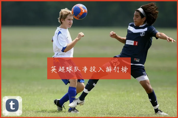 英超球队净投入排行榜